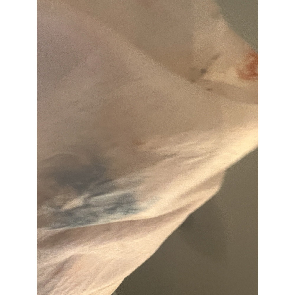 Eileen Fisher Powder Natural Dye Silk Garden Scarf OS/TU MSRP $148 - Picture 6 of 7